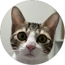 Light B. profile picture