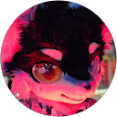 lucas L. profile picture